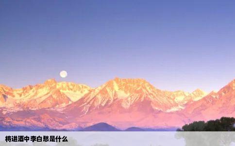 将进酒中李白愁是什么