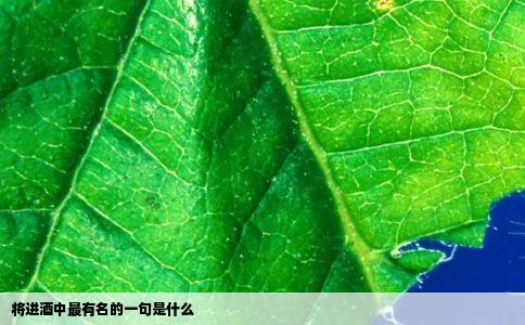将进酒中最有名的一句是什么