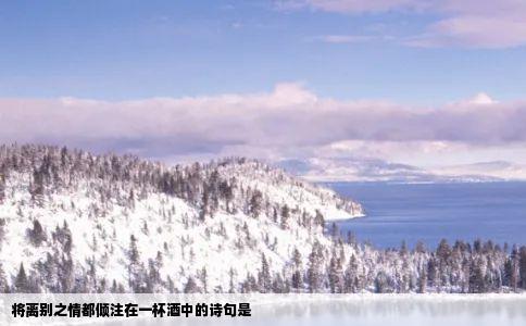 将离别之情都倾注在一杯酒中的诗句是