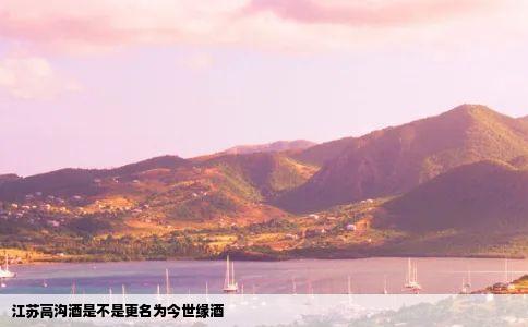江苏高沟酒是不是更名为今世缘酒