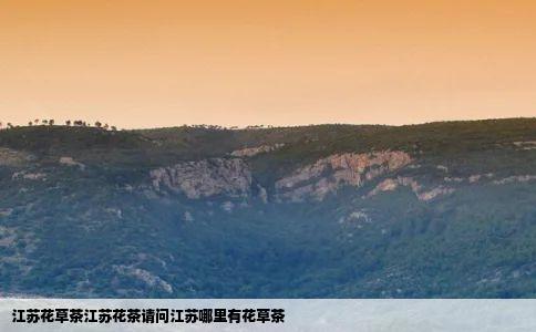 江苏花草茶江苏花茶请问江苏哪里有花草茶