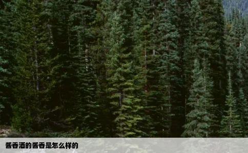 酱香酒的酱香是怎么样的