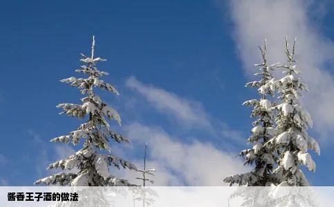 酱香王子酒的做法