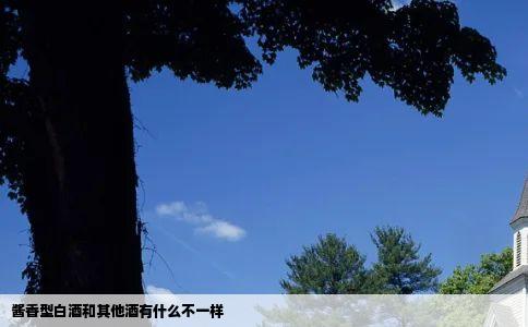 酱香型白酒和其他酒有什么不一样