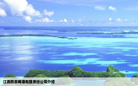 江西燕京啤酒有限责任公司介绍