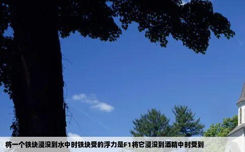将一个铁块浸没到水中时铁块受的浮力是F1将它浸没到酒精中时受到