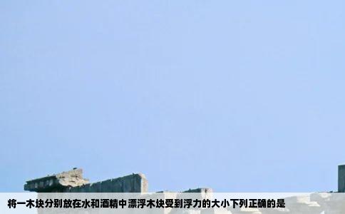 将一木块分别放在水和酒精中漂浮木块受到浮力的大小下列正确的是