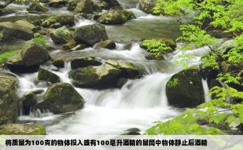 将质量为100克的物体投入盛有100毫升酒精的量筒中物体静止后酒精