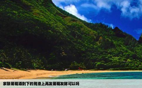 家酿葡萄酒剩下的残渣上再发葡萄发酵可以吗