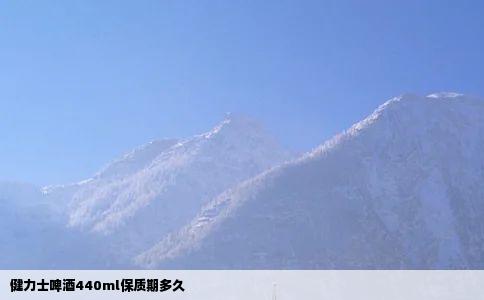健力士啤酒440ml保质期多久