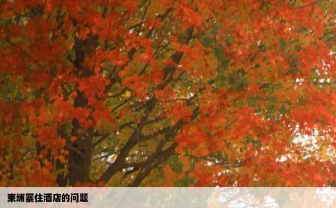 柬埔寨住酒店的问题