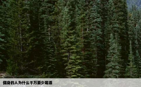 健身的人为什么千万要少喝酒
