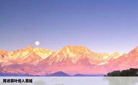 简述茶叶传入西域