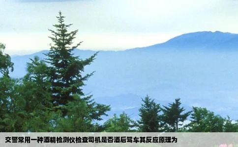 交警常用一种酒精检测仪检查司机是否酒后驾车其反应原理为
