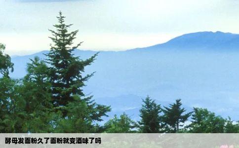 酵母发面粉久了面粉就变酒味了吗