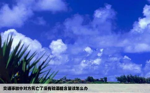 交通事故中对方死亡了没有验酒精含量该怎么办