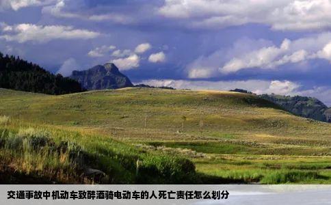 交通事故中机动车致醉酒骑电动车的人死亡责任怎么划分