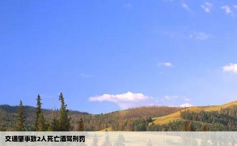 交通肇事致2人死亡酒驾刑罚