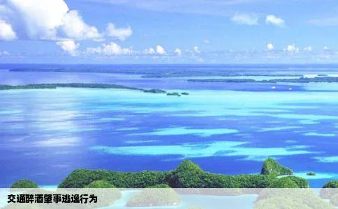 交通醉酒肇事逃逸行为