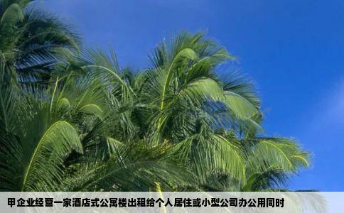 甲企业经营一家酒店式公寓楼出租给个人居住或小型公司办公用同时