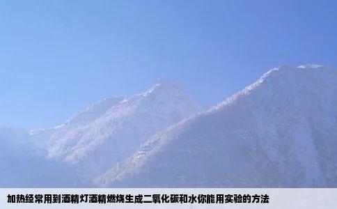 加热经常用到酒精灯酒精燃烧生成二氧化碳和水你能用实验的方法