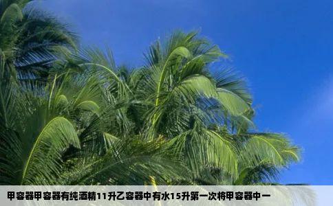 甲容器甲容器有纯酒精11升乙容器中有水15升第一次将甲容器中一