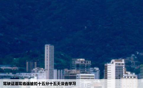 驾驶证酒驾逃逸被扣十五分十五天没去学习