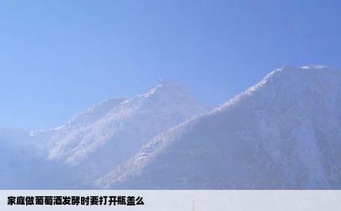 家庭做葡萄酒发酵时要打开瓶盖么