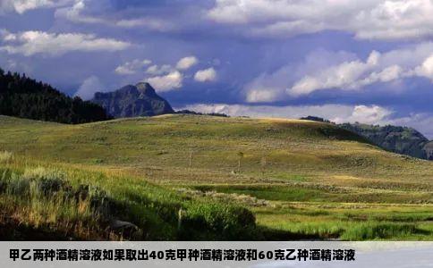 甲乙两种酒精溶液如果取出40克甲种酒精溶液和60克乙种酒精溶液