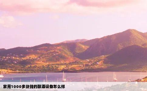 家用1000多块钱的酿酒设备怎么样