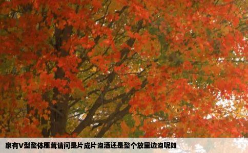 家有V型整体鹿茸请问是片成片泡酒还是整个放里边泡呢如