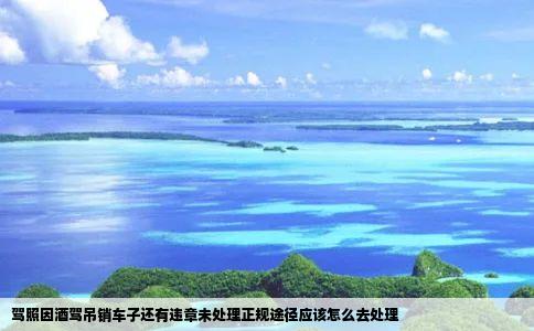 驾照因酒驾吊销车子还有违章未处理正规途径应该怎么去处理