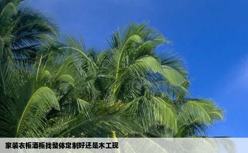 家装衣柜酒柜找整体定制好还是木工现