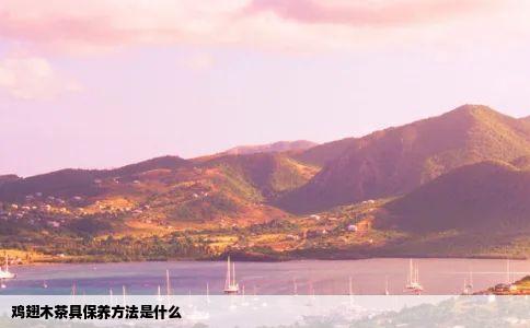 鸡翅木茶具保养方法是什么