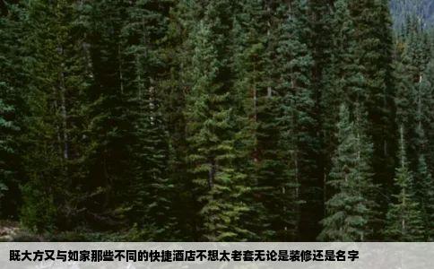 既大方又与如家那些不同的快捷酒店不想太老套无论是装修还是名字