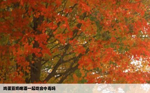 鸡蛋豆奶啤酒一起吃会中毒吗