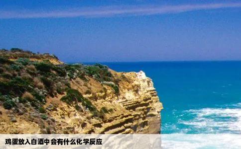 鸡蛋放入白酒中会有什么化学反应