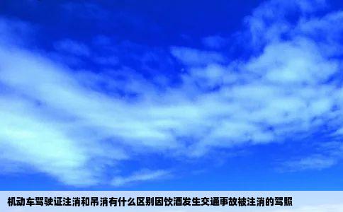 机动车驾驶证注消和吊消有什么区别因饮酒发生交通事故被注消的驾照