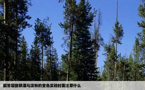 解答题做碘酒与淀粉的变色实验时要注意什么