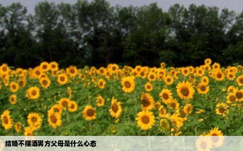 结婚不摆酒男方父母是什么心态