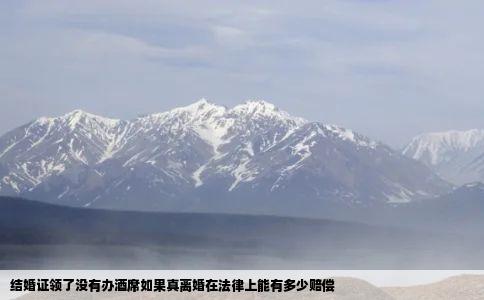 结婚证领了没有办酒席如果真离婚在法律上能有多少赔偿