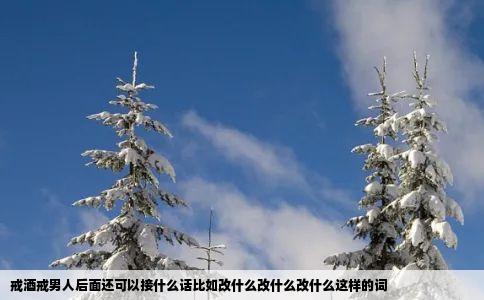 戒酒戒男人后面还可以接什么话比如改什么改什么改什么这样的词