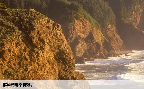 解酒药那个有效。