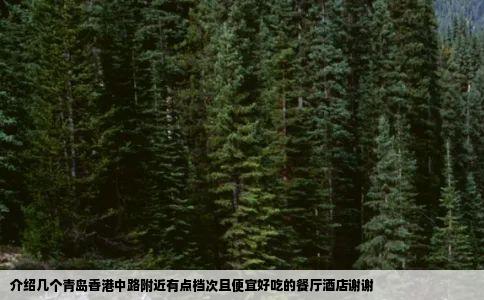 介绍几个青岛香港中路附近有点档次且便宜好吃的餐厅酒店谢谢