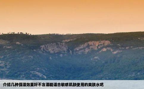 介绍几种保湿效果好不含酒精适合敏感肌肤使用的爽肤水吧