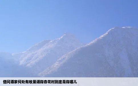 借问酒家何处有牧童遥指杏花村到底是指哪儿