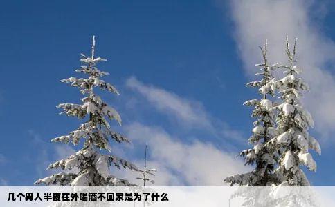 几个男人半夜在外喝酒不回家是为了什么