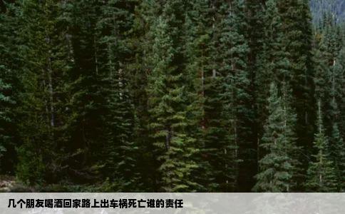 几个朋友喝酒回家路上出车祸死亡谁的责任