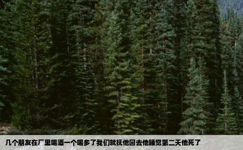 几个朋友在厂里喝酒一个喝多了我们就抚他回去他睡觉第二天他死了