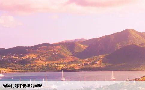 寄酒用哪个快递公司好